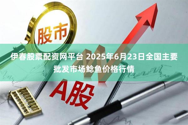 伊春股票配资网平台 2025年6月23日全国主要批发市场鲶鱼价格行情
