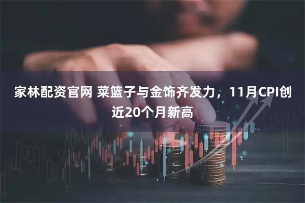 家林配资官网 菜篮子与金饰齐发力，11月CPI创近20个月新高