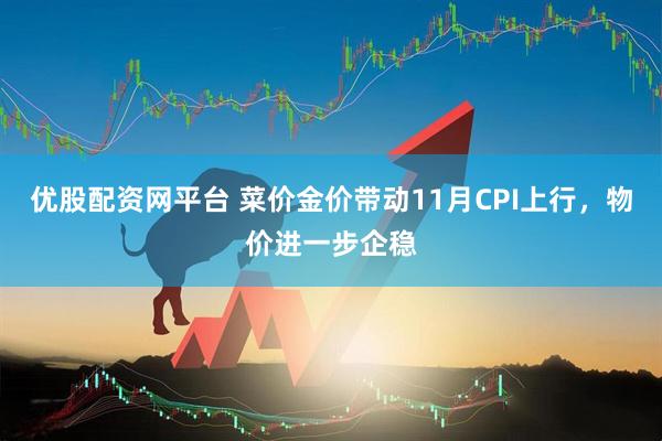 优股配资网平台 菜价金价带动11月CPI上行，物价进一步企稳